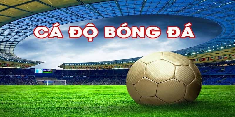 Từ bỏ cá độ bóng đá Dấu hiệu cần từ bỏ cá độ bóng đá ngay lập tức
