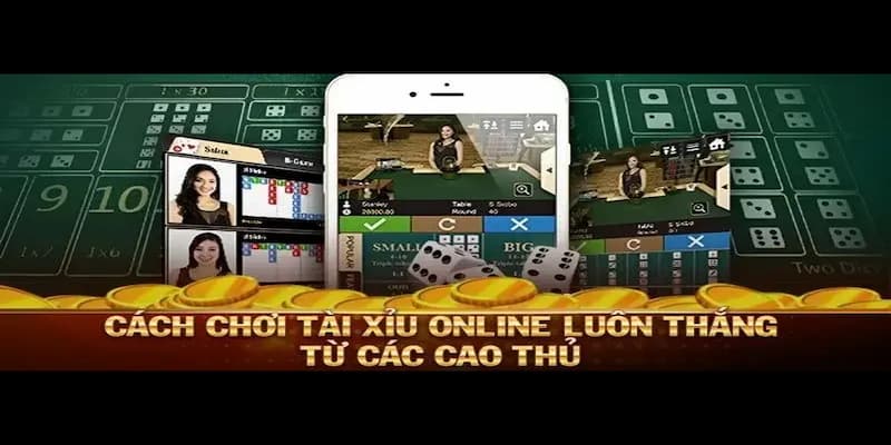 Câu bet tài xỉu Hiểu rõ về câu bet tài xỉu