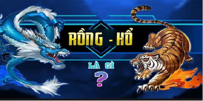 Hướng dẫn chơi rồng hổ Hướng dẫn chơi rồng hổ cho người mới