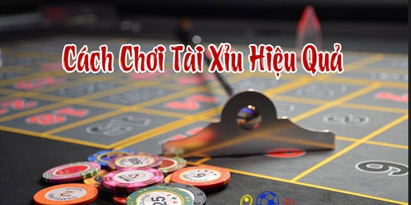 Cách chơi tài xỉu cho người mới Luật chơi tài xỉu cơ bản