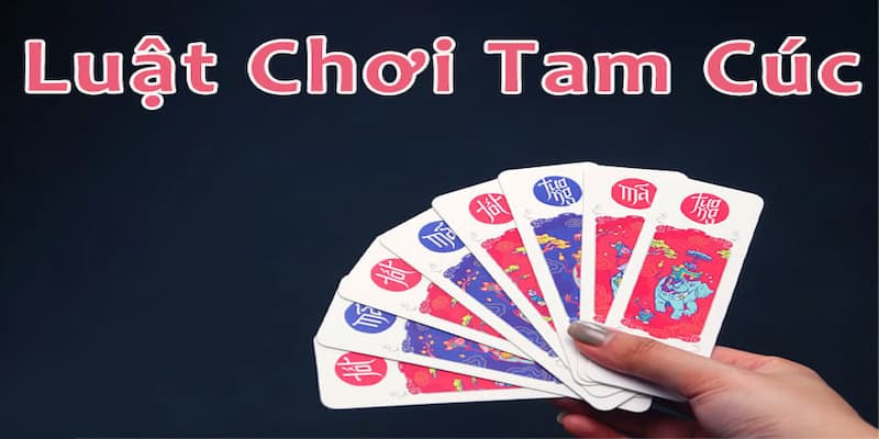 Cách chơi tam cúc Quản lý bài và chờ đợi