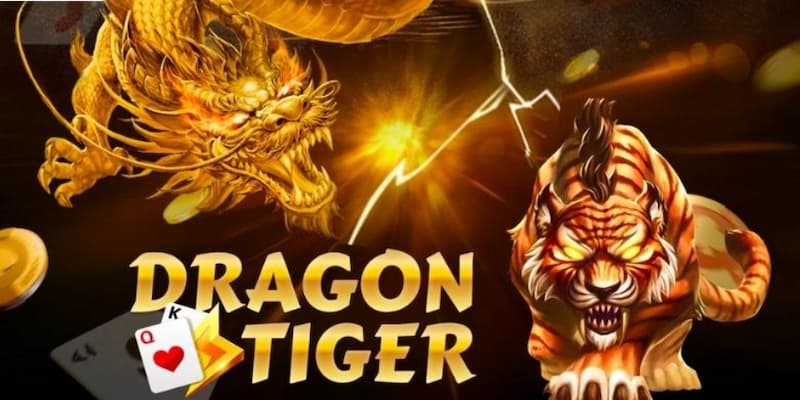 Hướng dẫn chơi rồng hổ Tip hướng dẫn chơi rồng hổ tại Go88