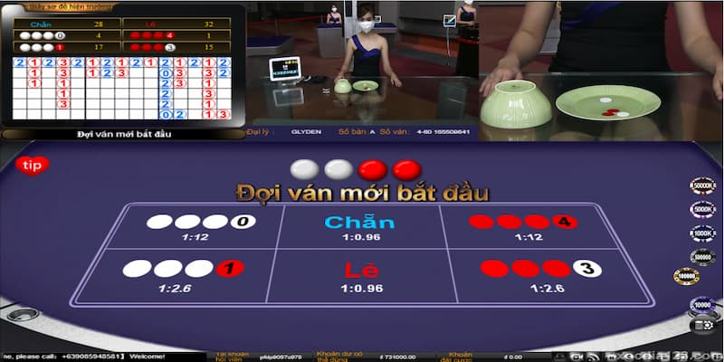 Cược chẵn lẻ trong tài xỉu Go88 Tổng quan về cược chẵn lẻ trong tài xỉu Go88